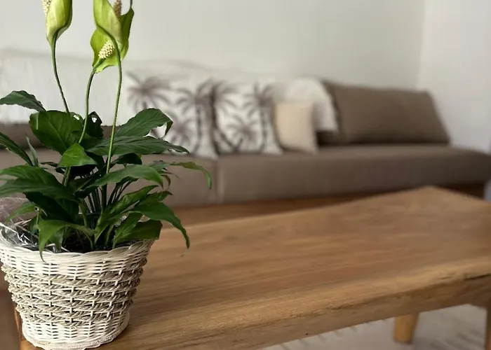 Vela 6 Bedroom Villa Seminyak (Bali)