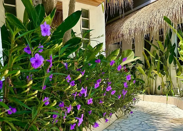 Vela 6 Bedroom Villa