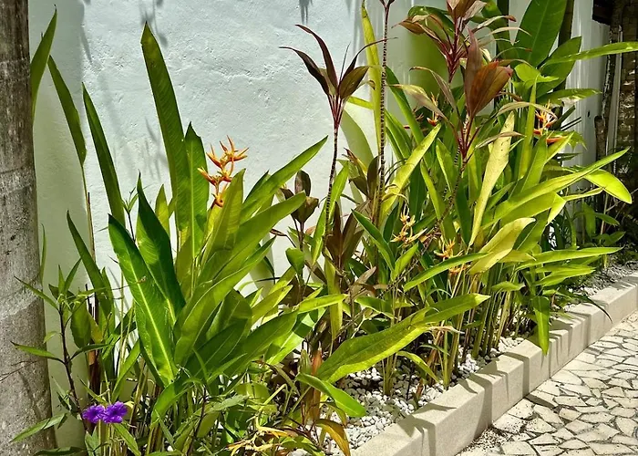 Vela 6 Bedroom Villa Seminyak (Bali)